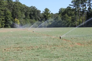 irrigation_hoover (23).JPG